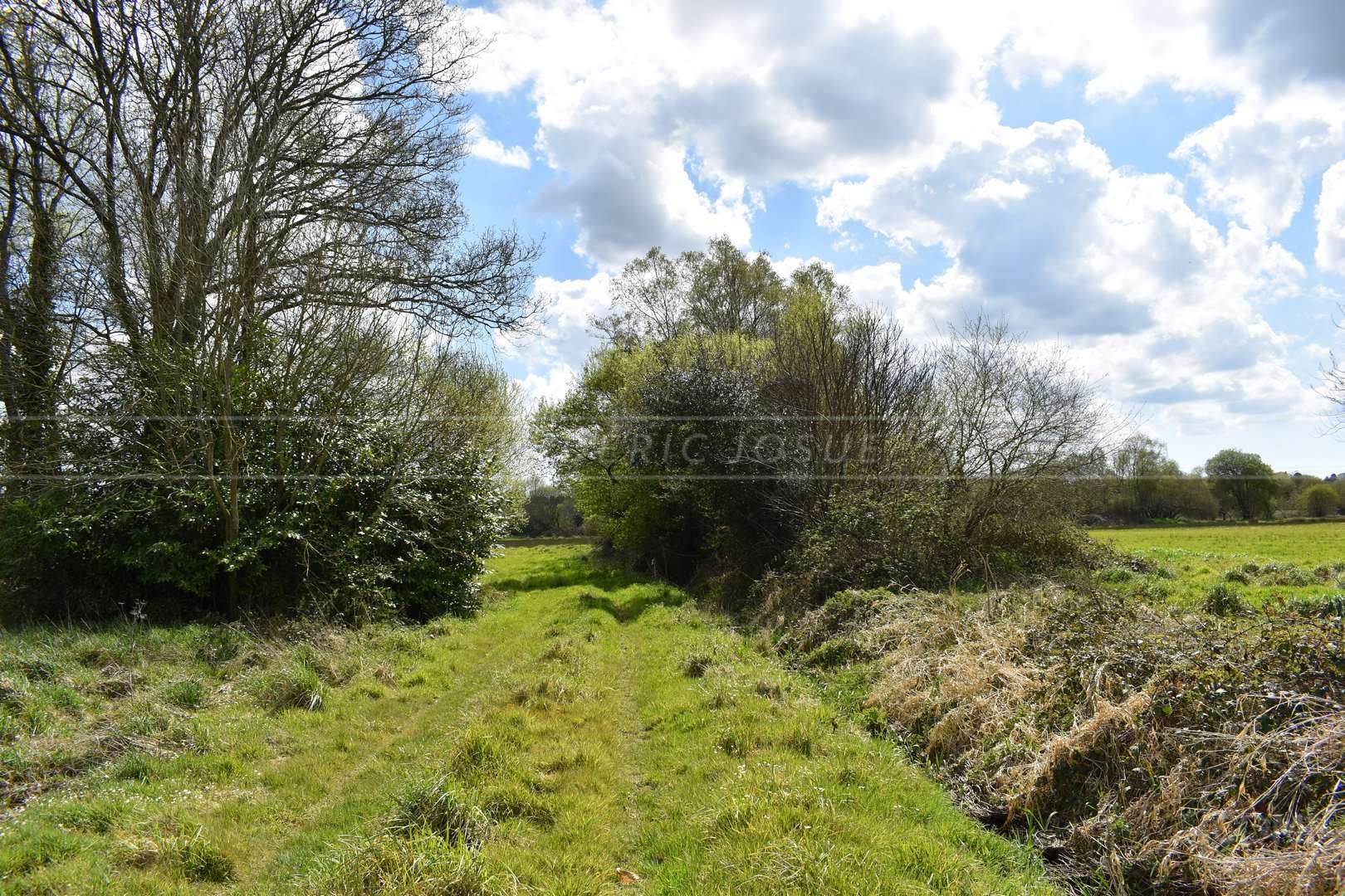 TERRAIN AGRICOLE - PROCHE CENTRE VILLE - IDEAL POUR CHEVAUX - EXPOSITION SUD - ACCES FACILE photo 4